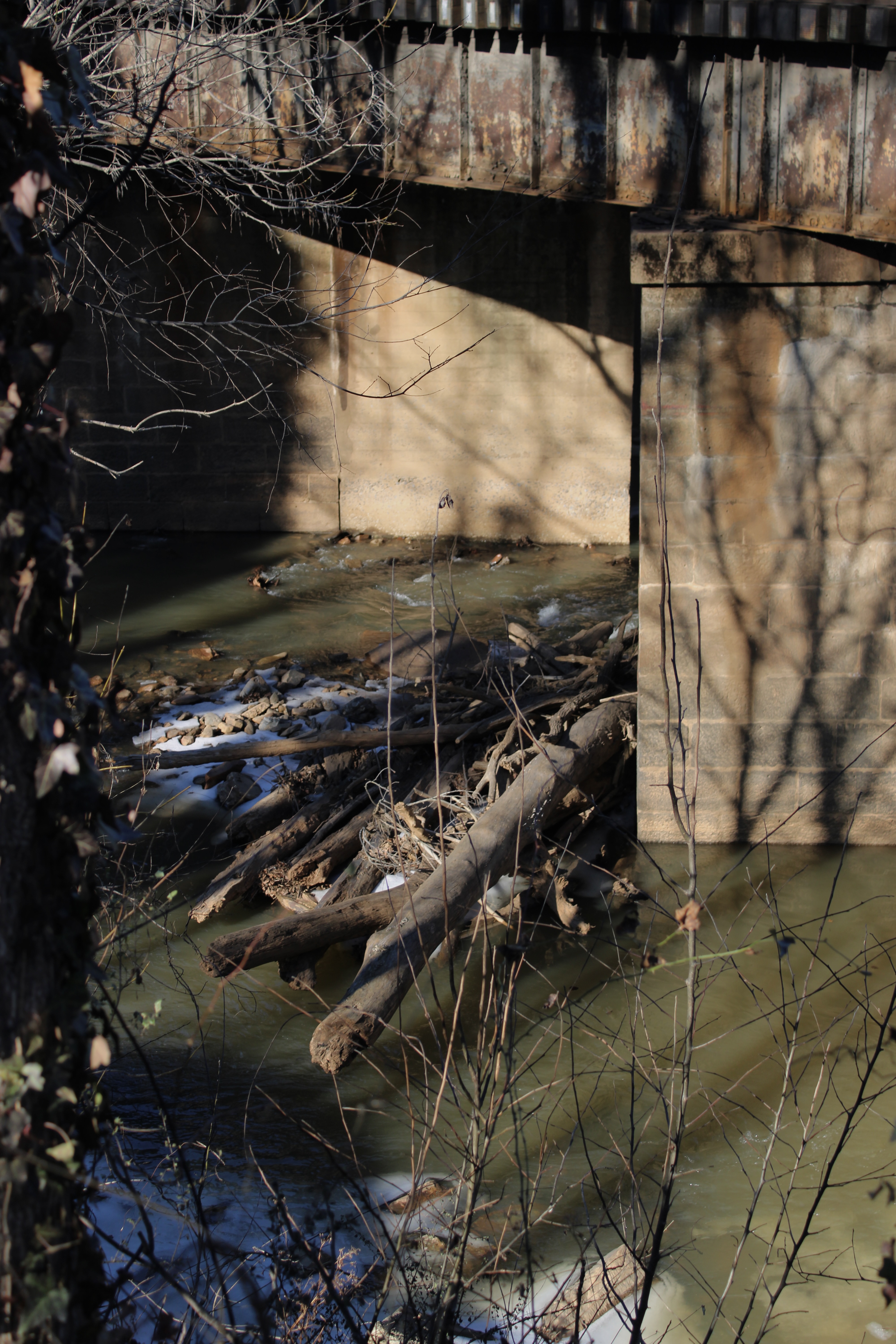 creek under bridge