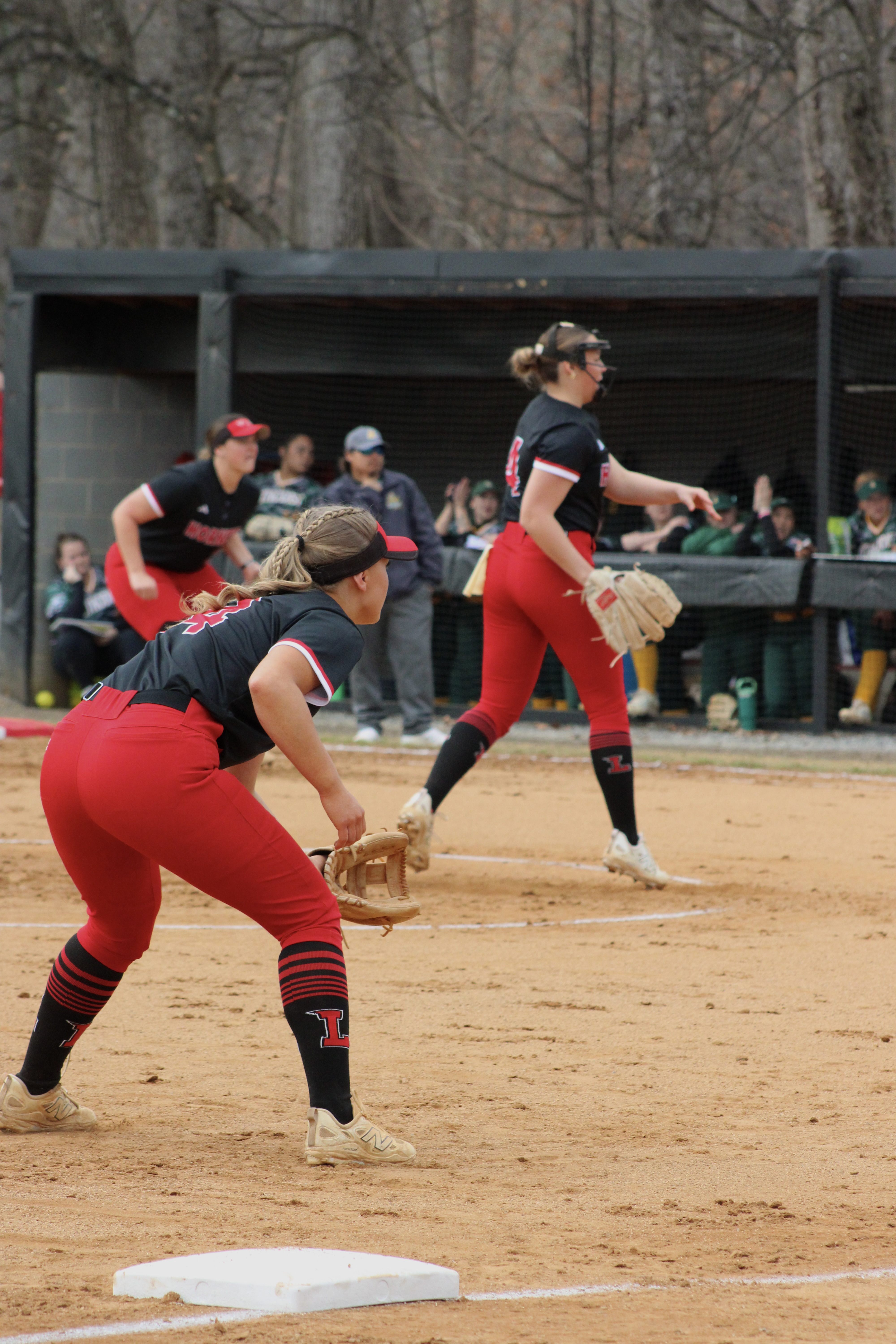 university of lynchburg softball